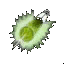 self-nano.webp